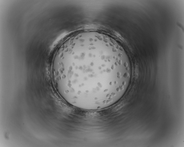 X0000100491454200806271225