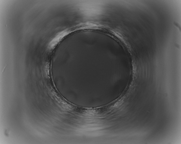 X0000100491455200806271225