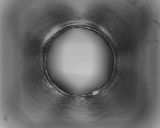 X0000100491456200806271225