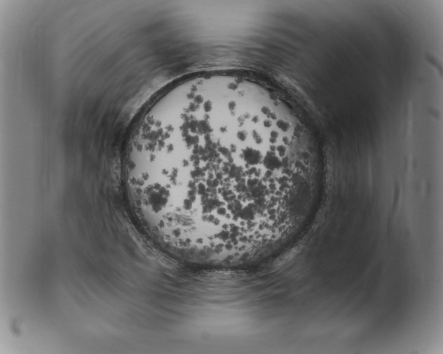 X0000100491457200806271225