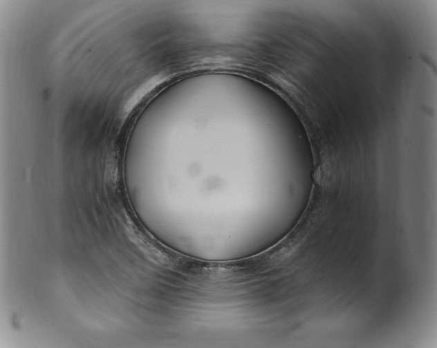 X0000100491458200806271225