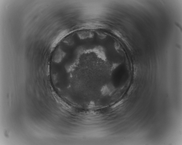 X0000100491459200806271225