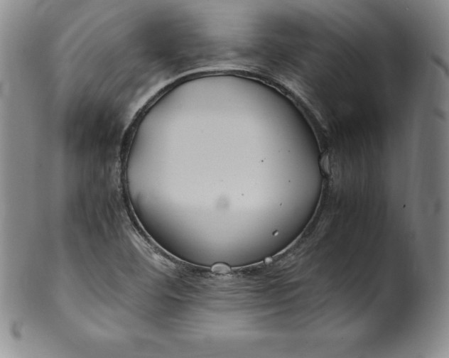 X0000100491460200806271225