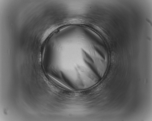 X0000100491461200806271225