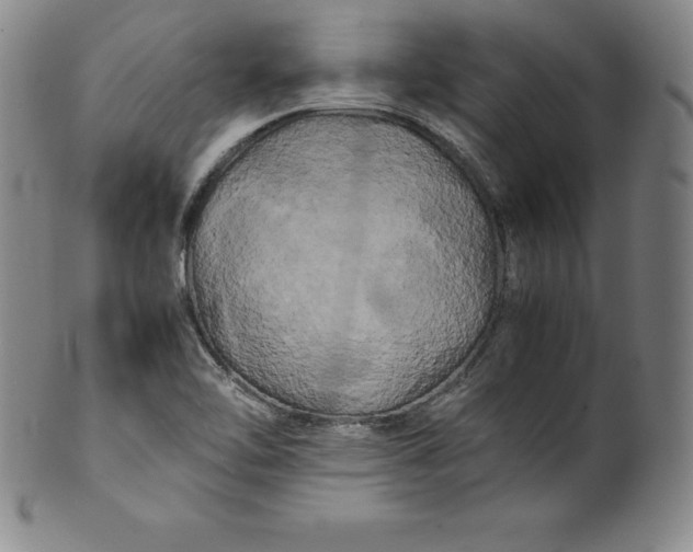 X0000100491462200806271225