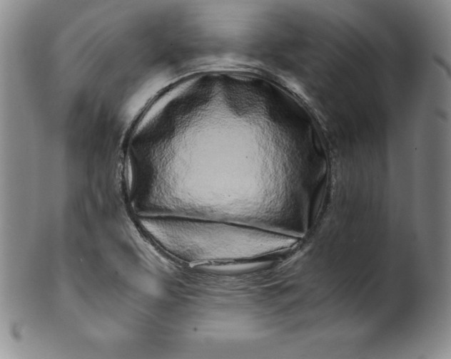 X0000100491463200806271225