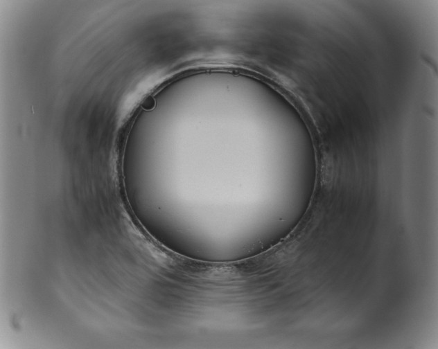 X0000100491464200806271225