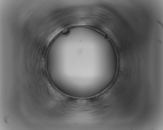 X0000100491465200806271225