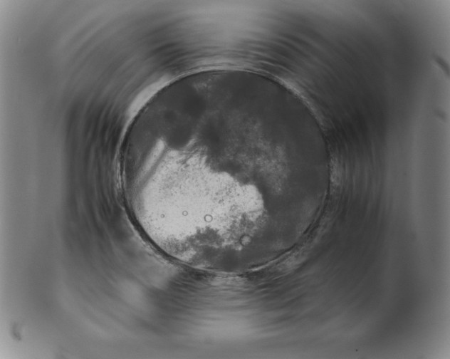 X0000100491466200806271225