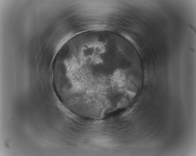 X0000100491467200806271225