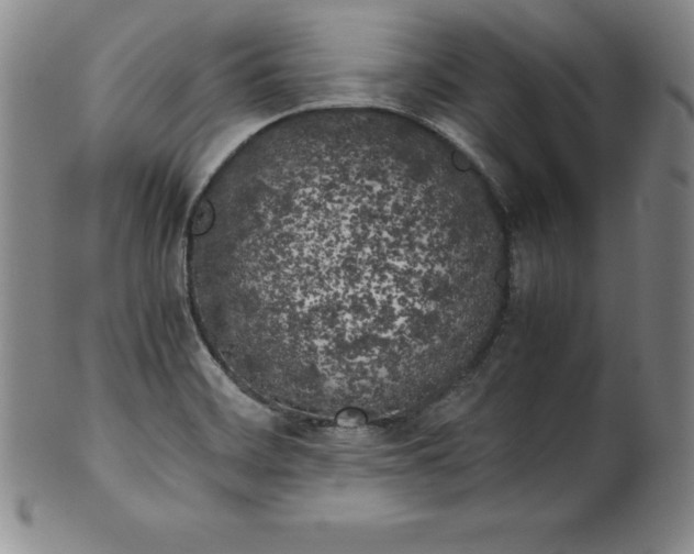 X0000100491468200806271225