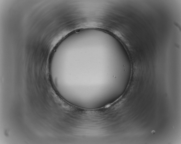 X0000100491469200806271225