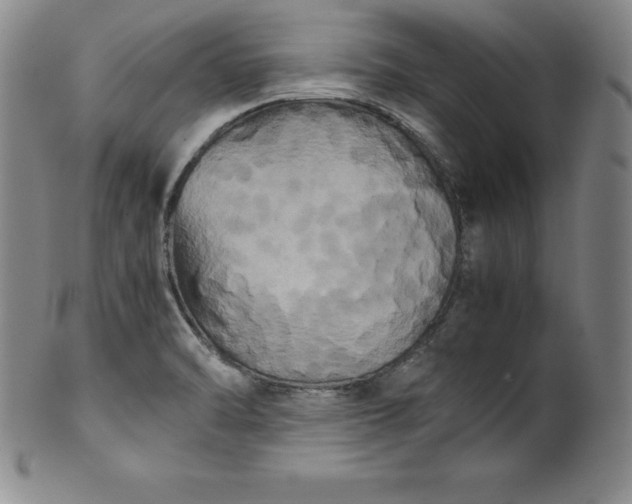 X0000100491470200806271225