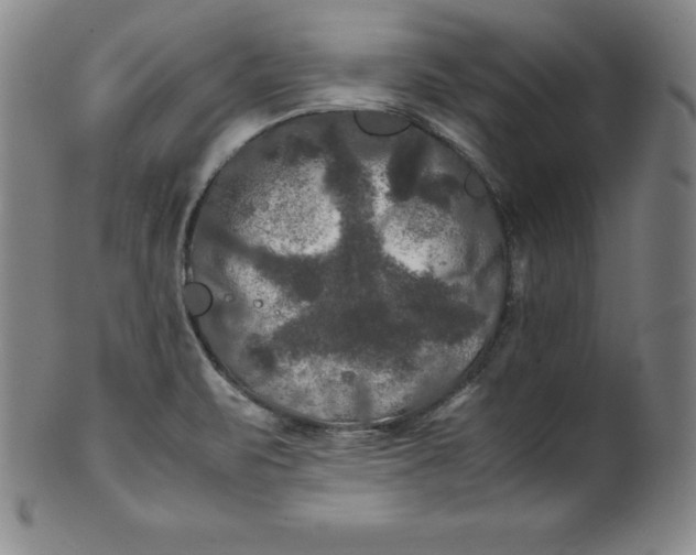 X0000100491471200806271225