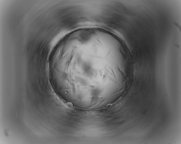 X0000100491472200806271225