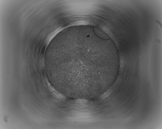 X0000100491473200806271225