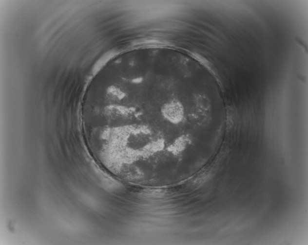 X0000100491474200806271225