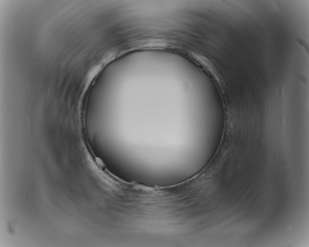 X0000100491475200806271225