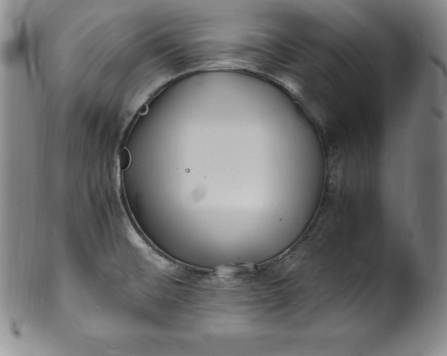 X0000100491476200806271225