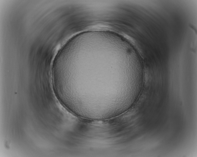 X0000100491478200806271225