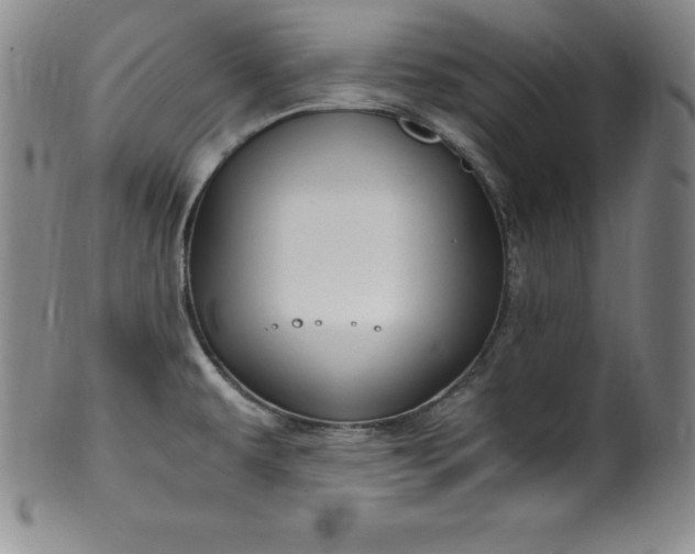 X0000100491479200806271225