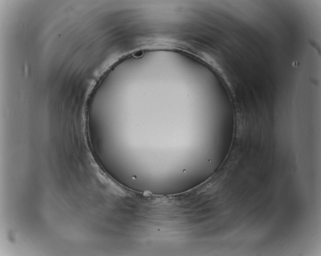 X0000100491480200806271225