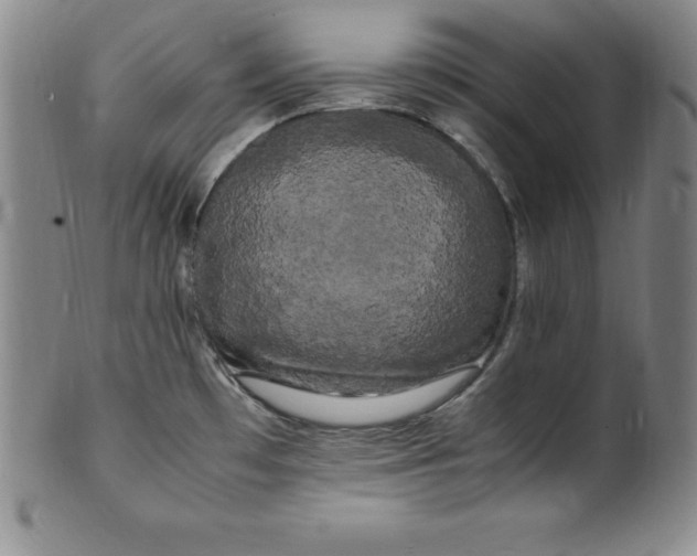 X0000100491481200806271225