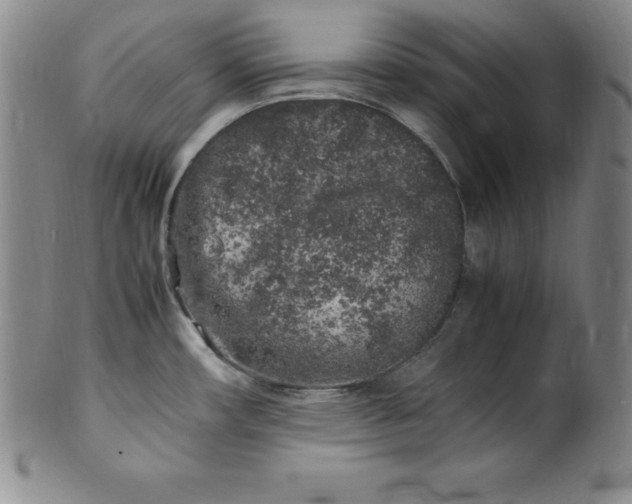 X0000100491482200806271225