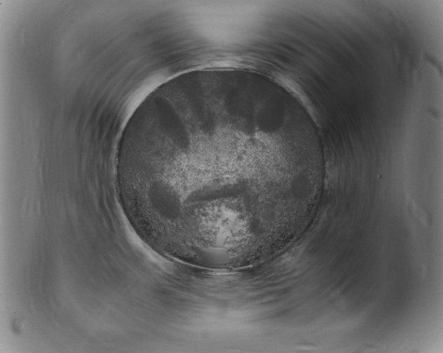 X0000100491483200806271225