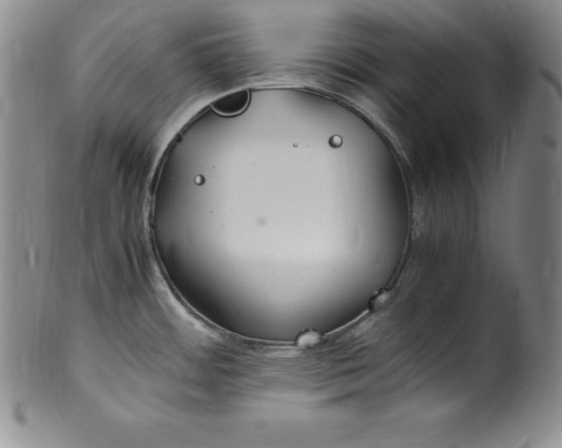 X0000100491484200806271225