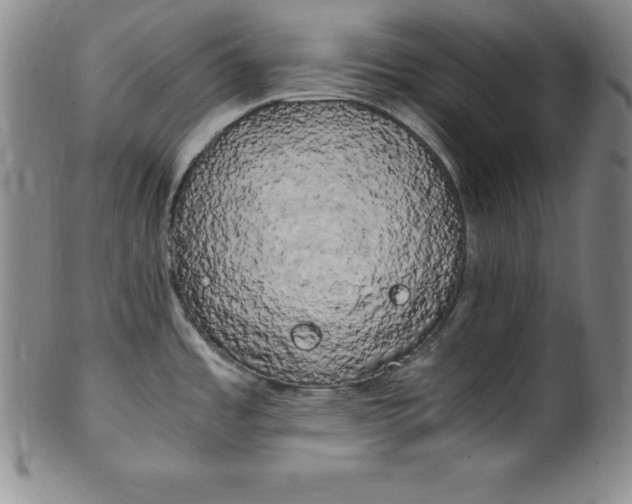 X0000100491485200806271225