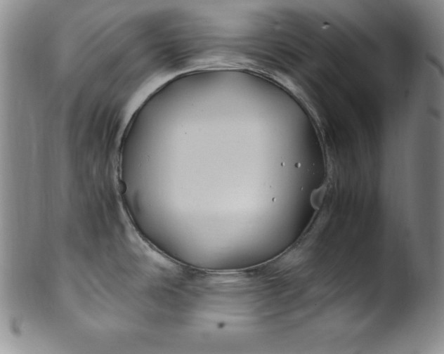 X0000100491486200806271225