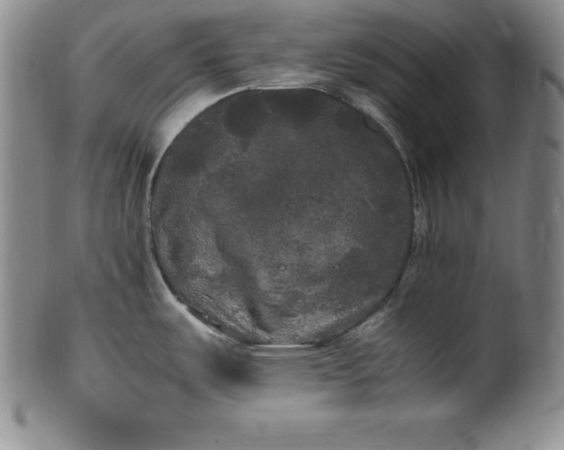 X0000100491487200806271225