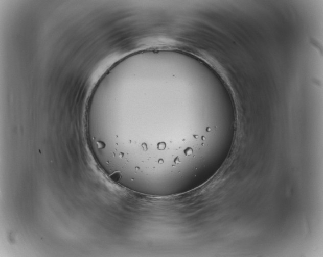 X0000100491488200806271225