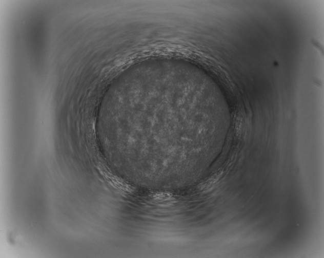 X0000100491489200806271224