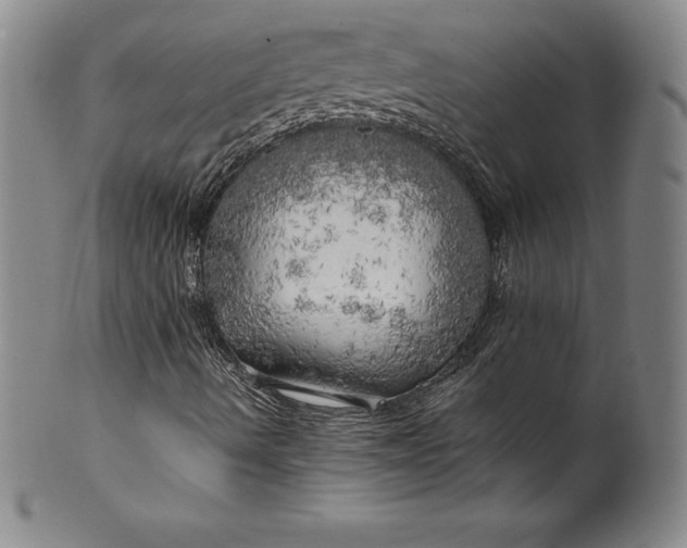 X0000100491490200806271224