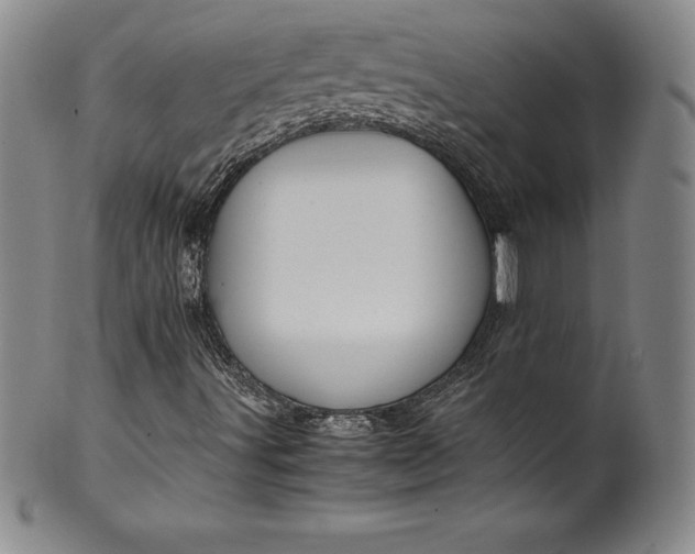 X0000100491491200806271224