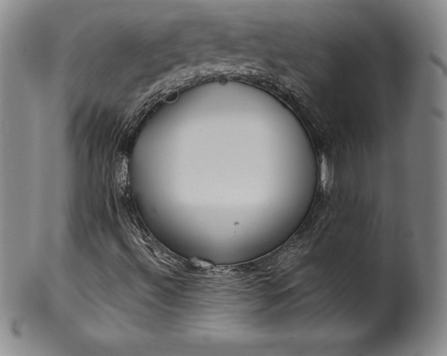 X0000100491492200806271224