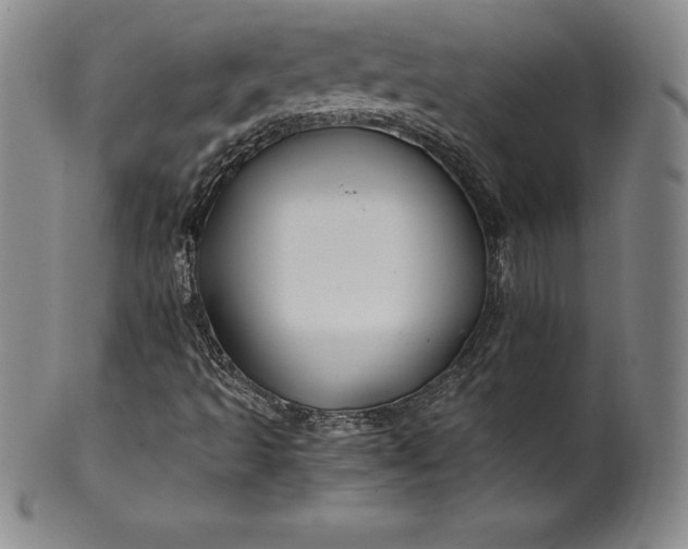 X0000100491493200806271224