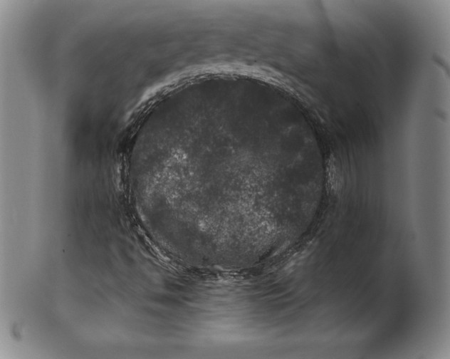 X0000100491494200806271224