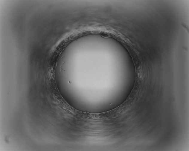 X0000100491495200806271224