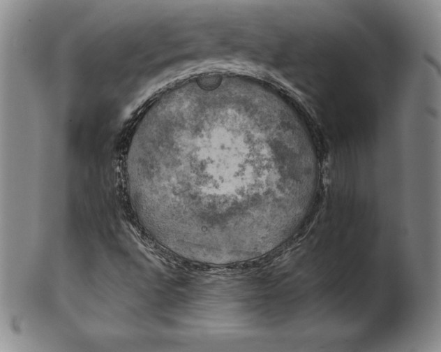 X0000100491496200806271224