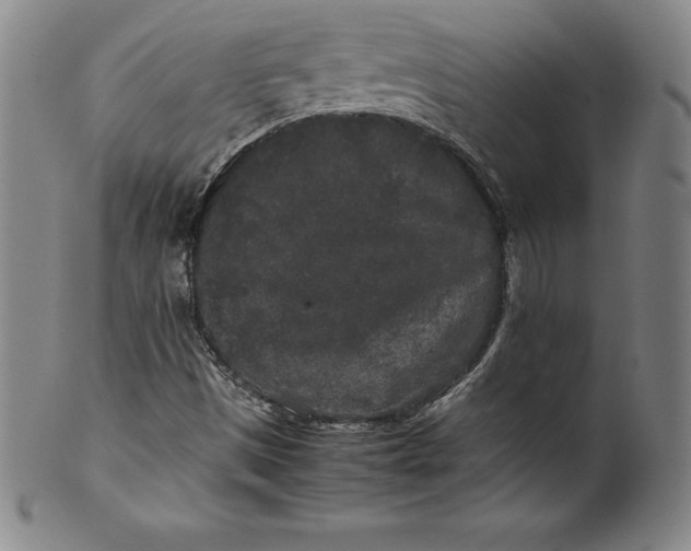 X0000100491497200806271224