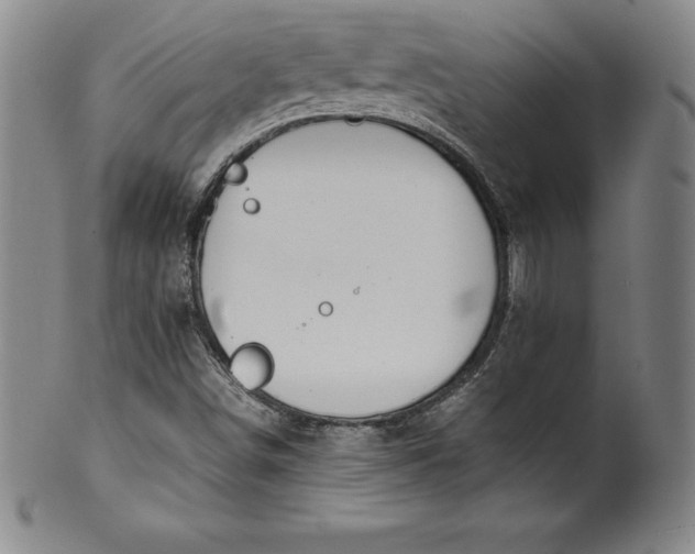 X0000100491498200806271224