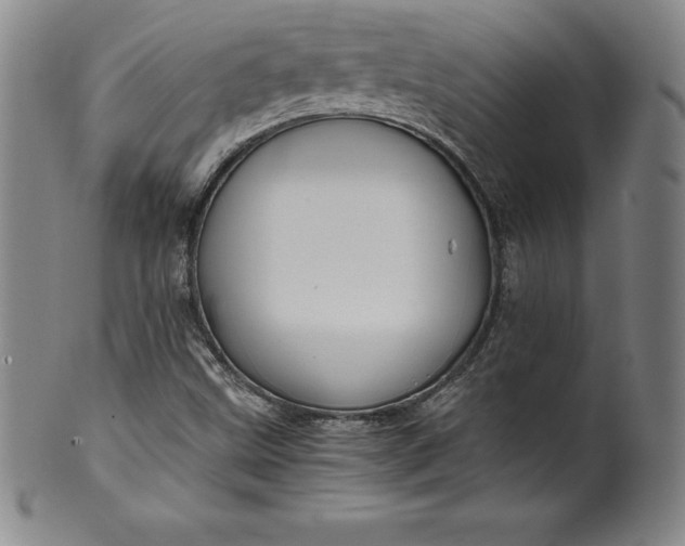 X0000100491499200806271224