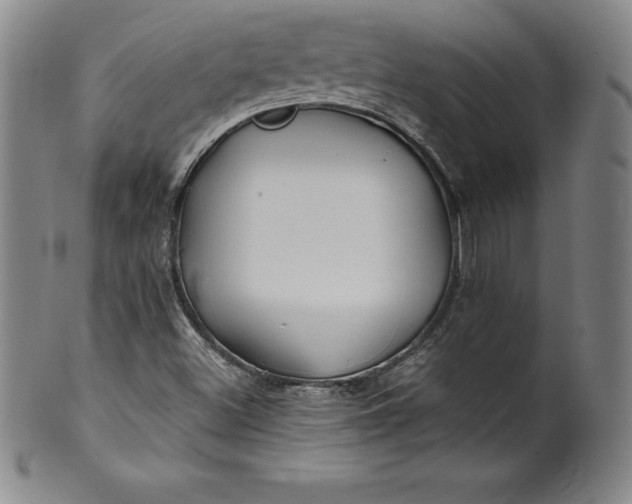 X0000100491500200806271224