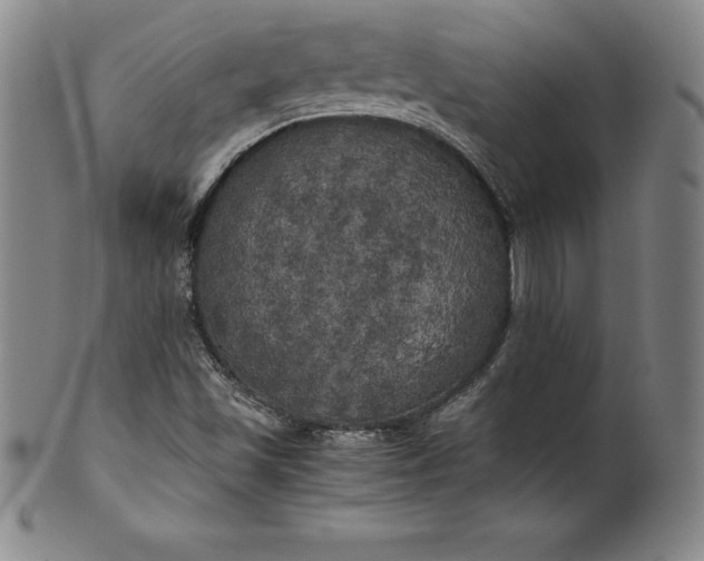 X0000100491501200806271224