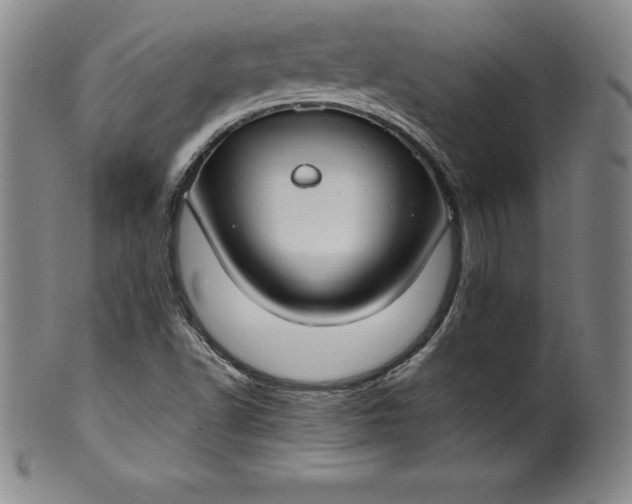 X0000100491502200806271224