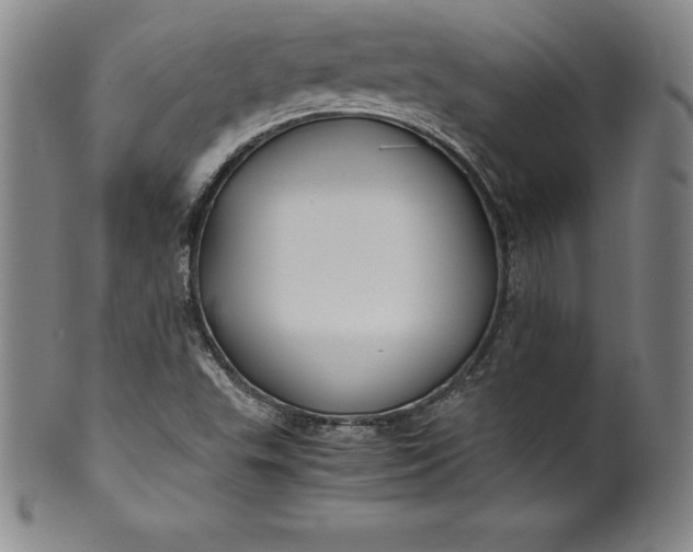 X0000100491503200806271224