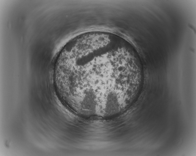 X0000100491504200806271224